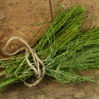 6 Herbal Remedies for Overactive Bladder