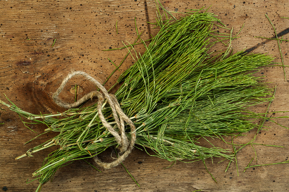 6 Herbal Remedies for Overactive Bladder